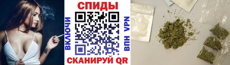 blacksprut вход  Рошаль  БУТИРАТ бутандиол  купить наркотик 