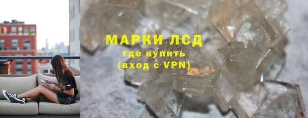 PSILOCYBIN Алзамай