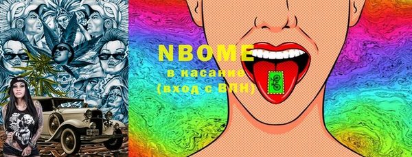 PSILOCYBIN Алзамай