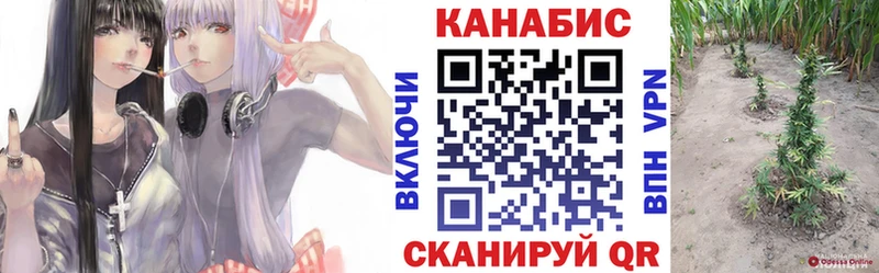 купить наркотики сайты  Рошаль  Конопля марихуана 